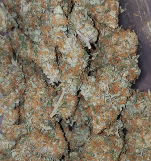 Amnesia Haze