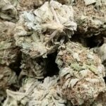 Purple Lemon Haze